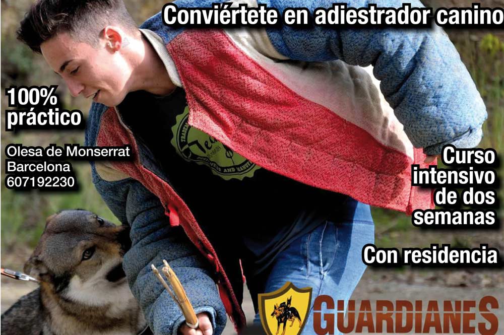 LosGiardianesFebrero