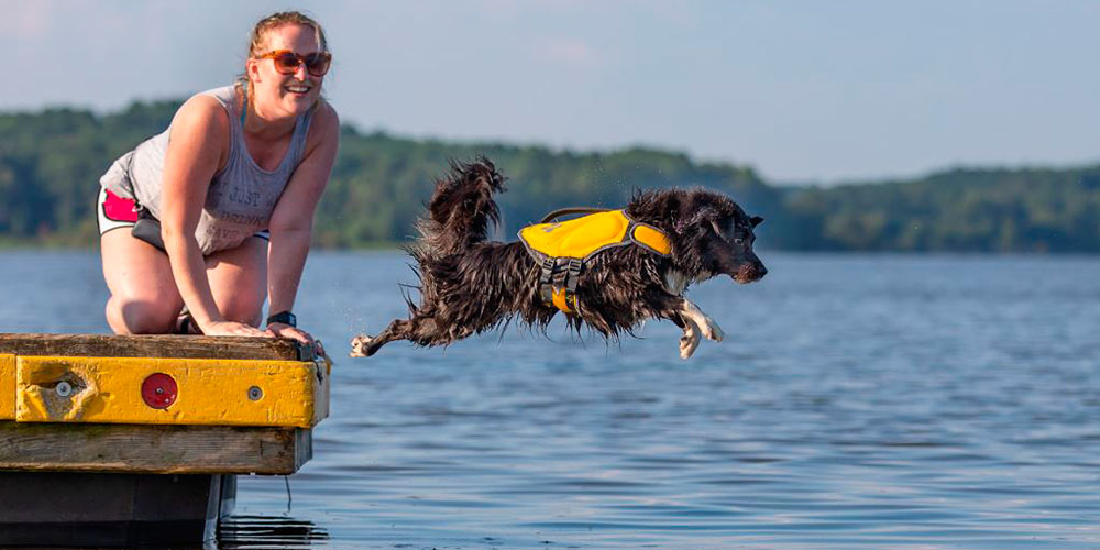 Dock diving