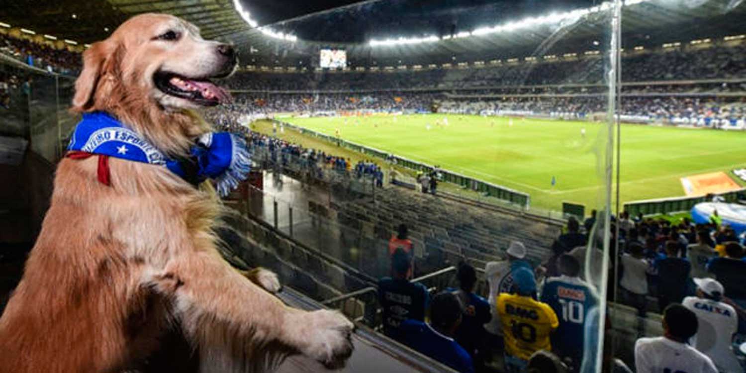 Futbol, MInerao