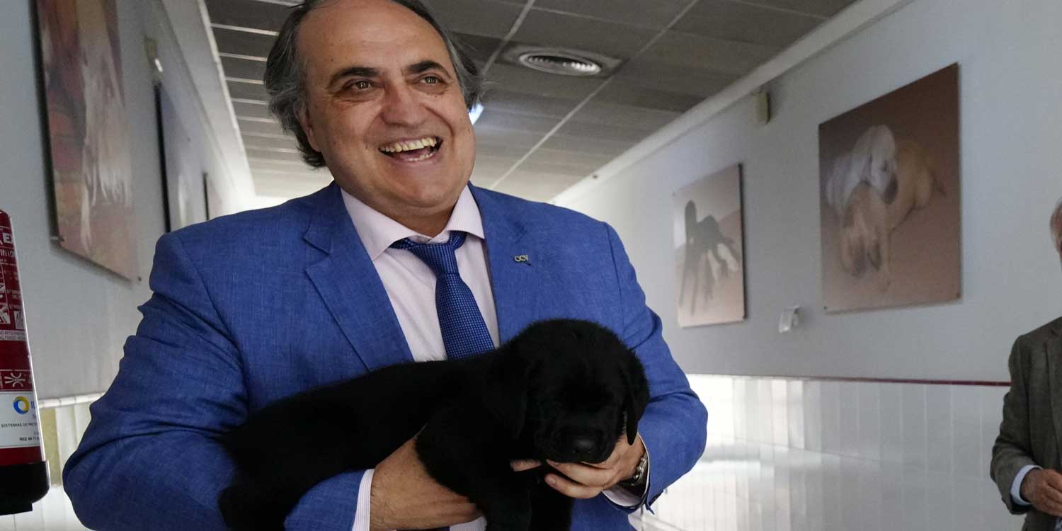 presidente veterinarios