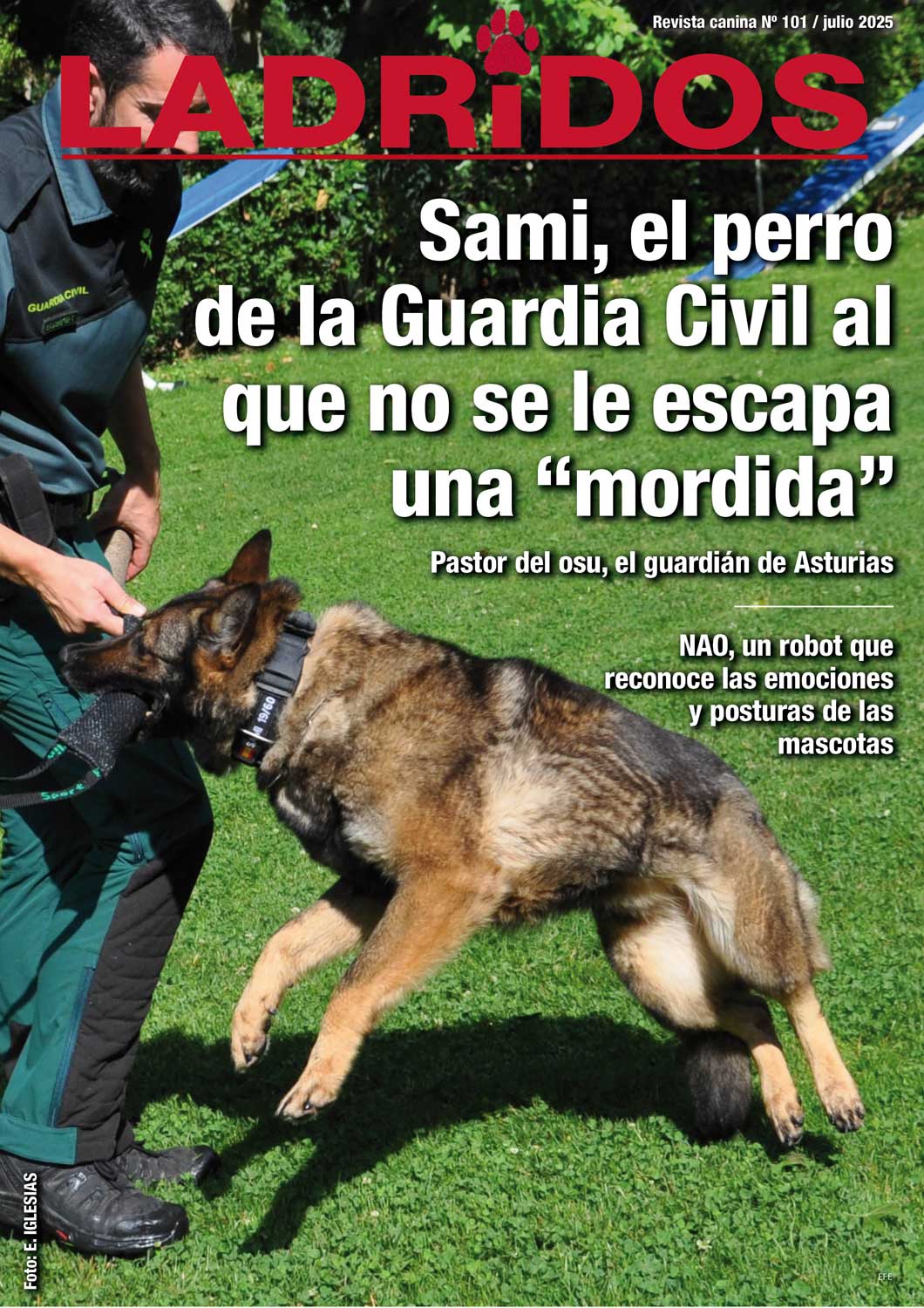 101julio25
