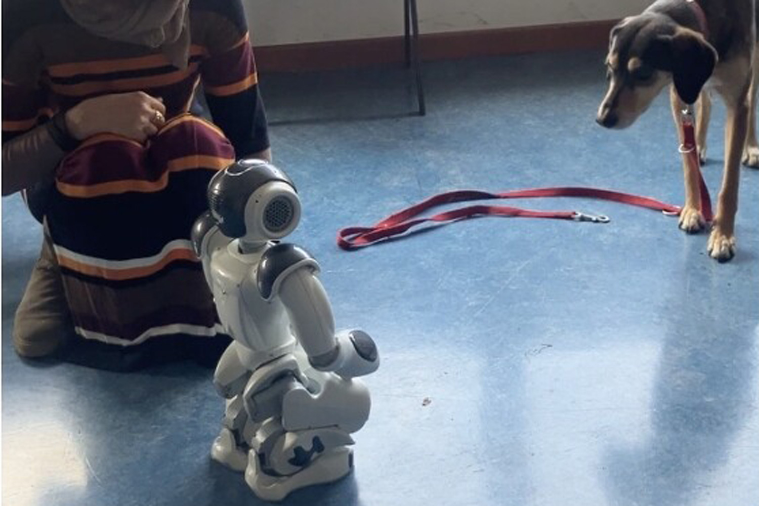 RobotNAO
