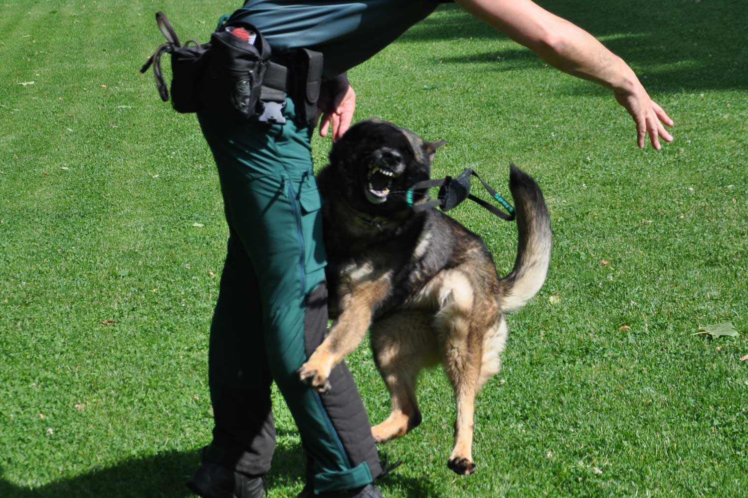 guardia civil1