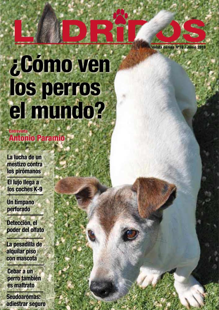 Portada16