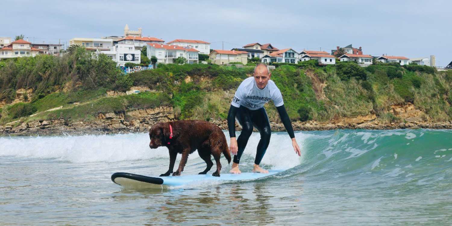surf