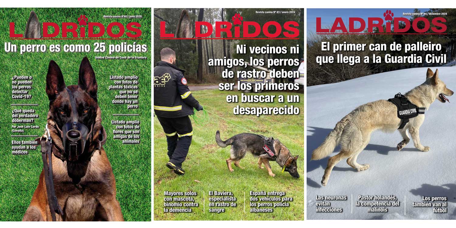 100revistas