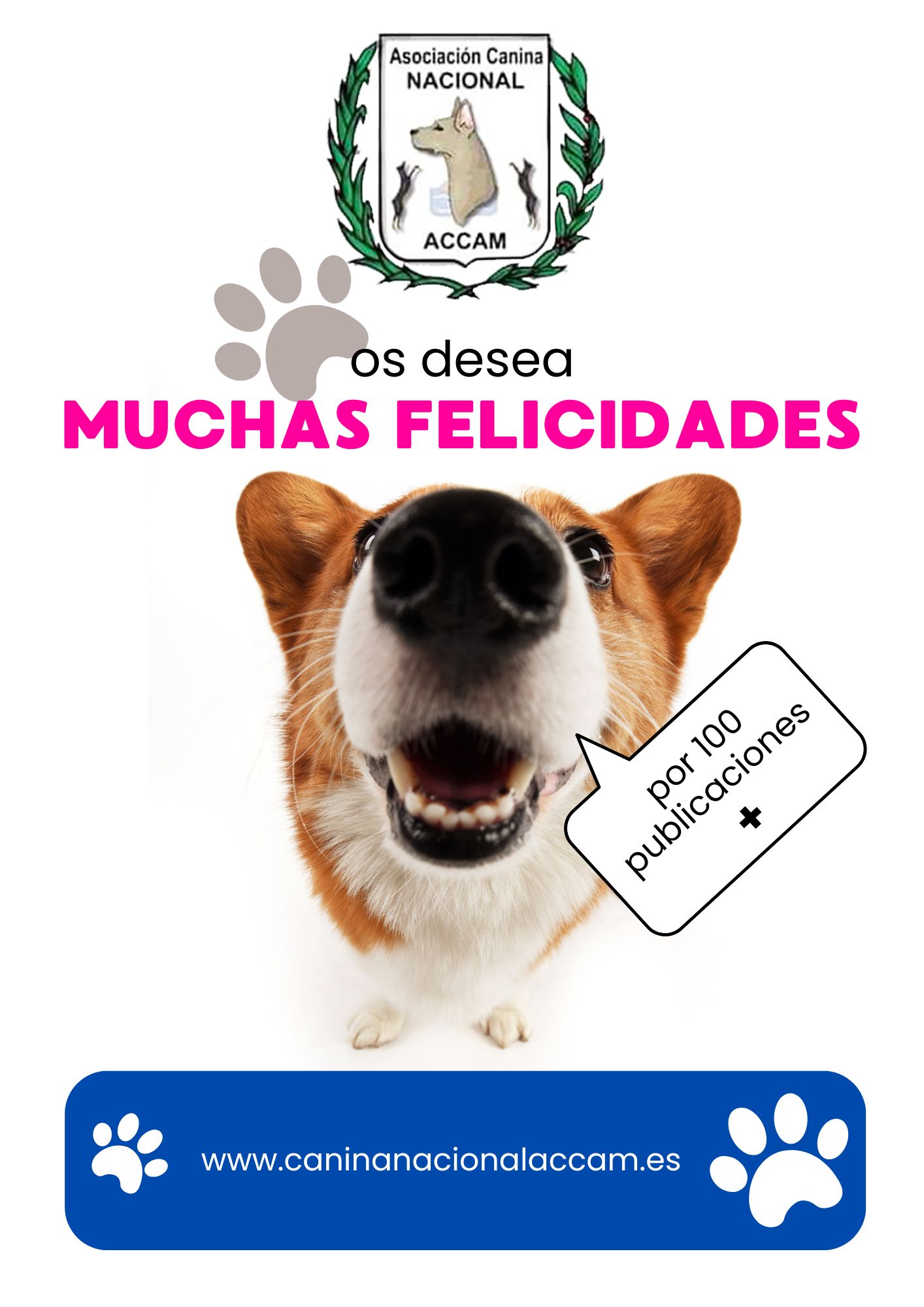 muchas felicidades