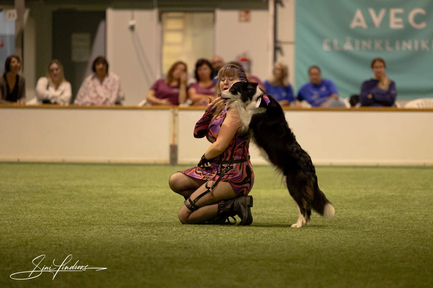 dogdancing1