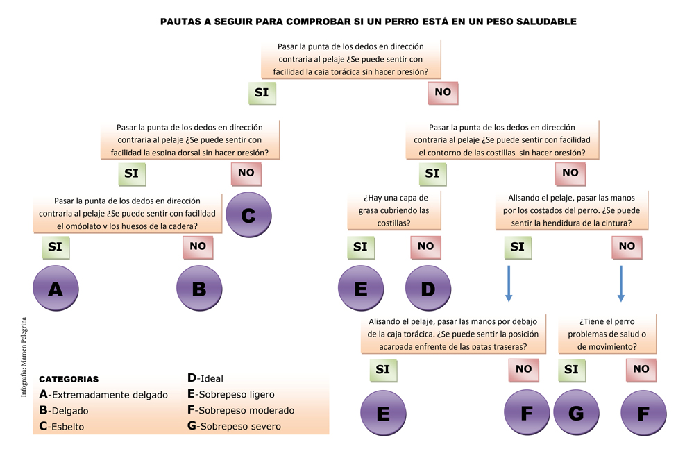 graficoperrosobesos