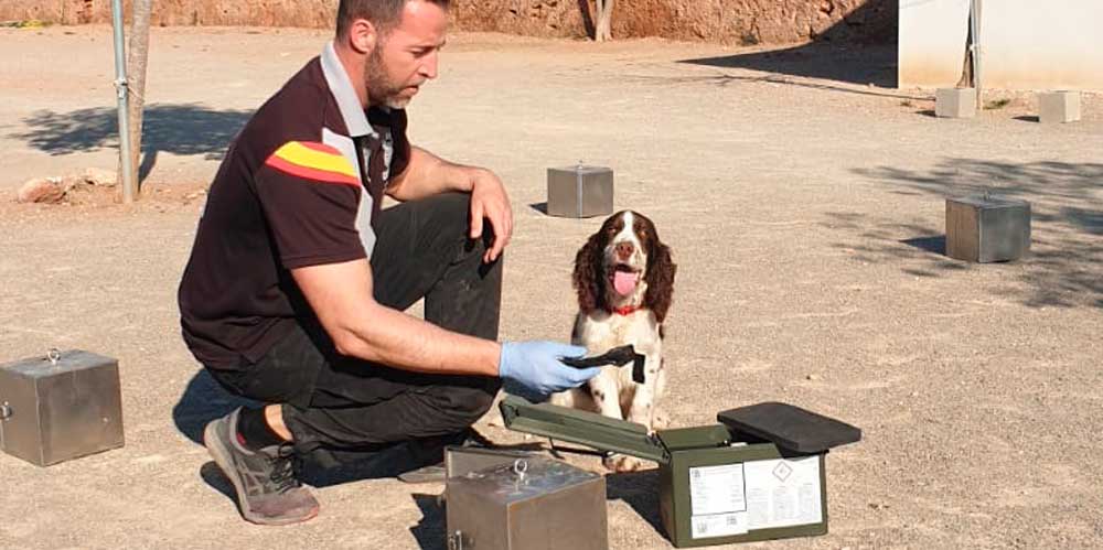 El mayor puerto de carga de África,Tanger Med, contrata a una empresa canina española 