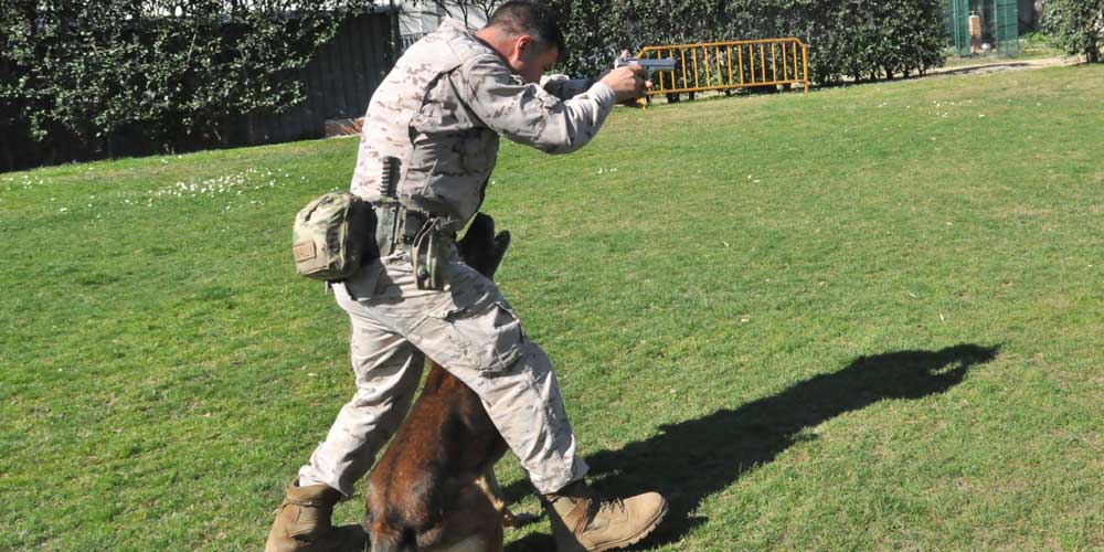 Unidades Caninas de las Fuerzas Especiales:  la élite del Ejercito