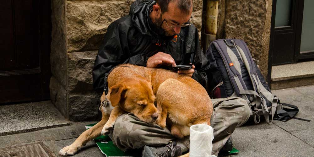 No permitir a un sintecho entrar en un albergue con su mascota puede ser maltrato animal