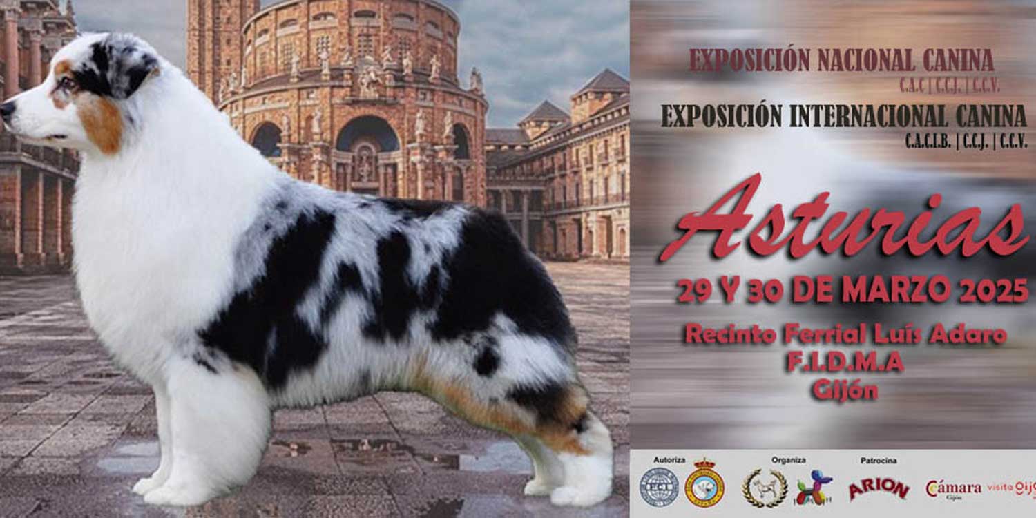 calendario