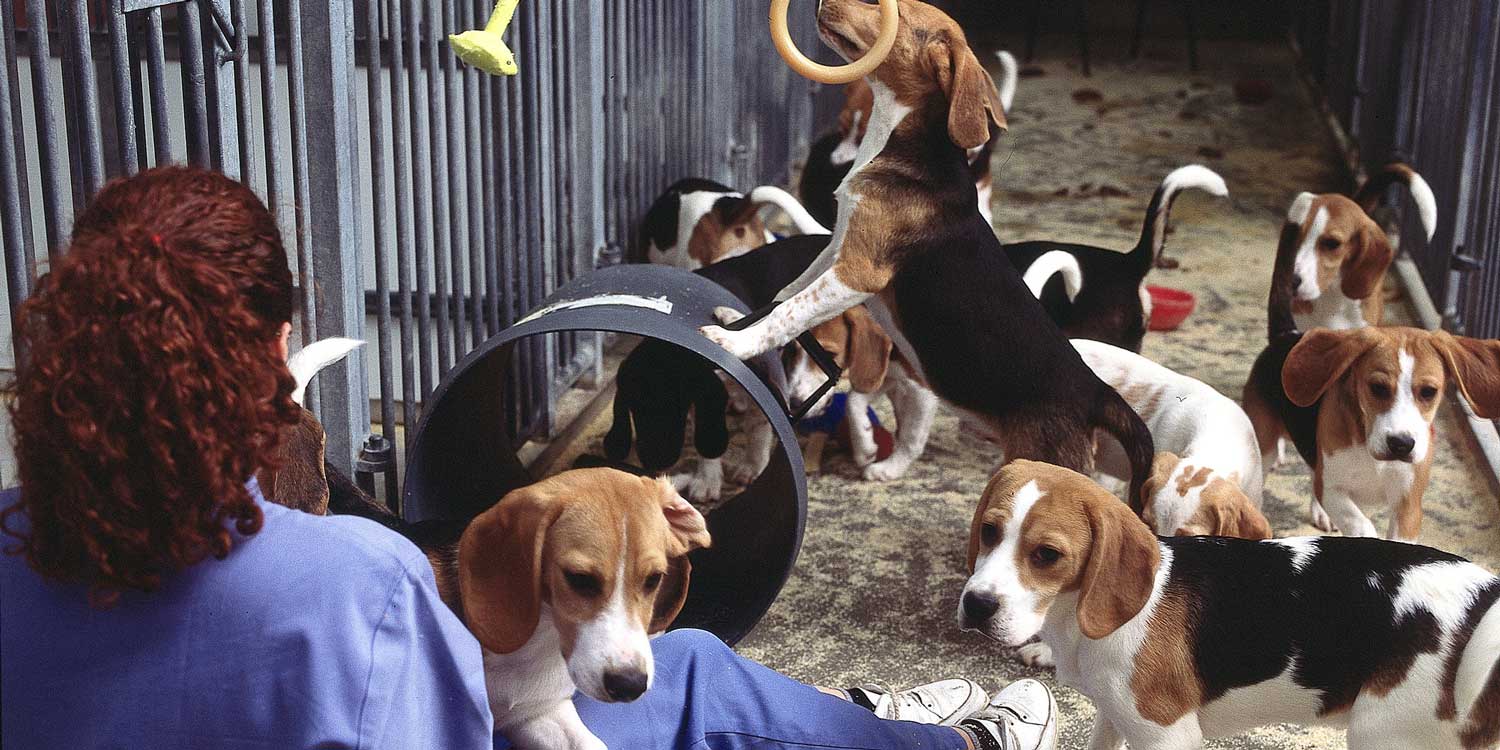 INVESTIGACION1