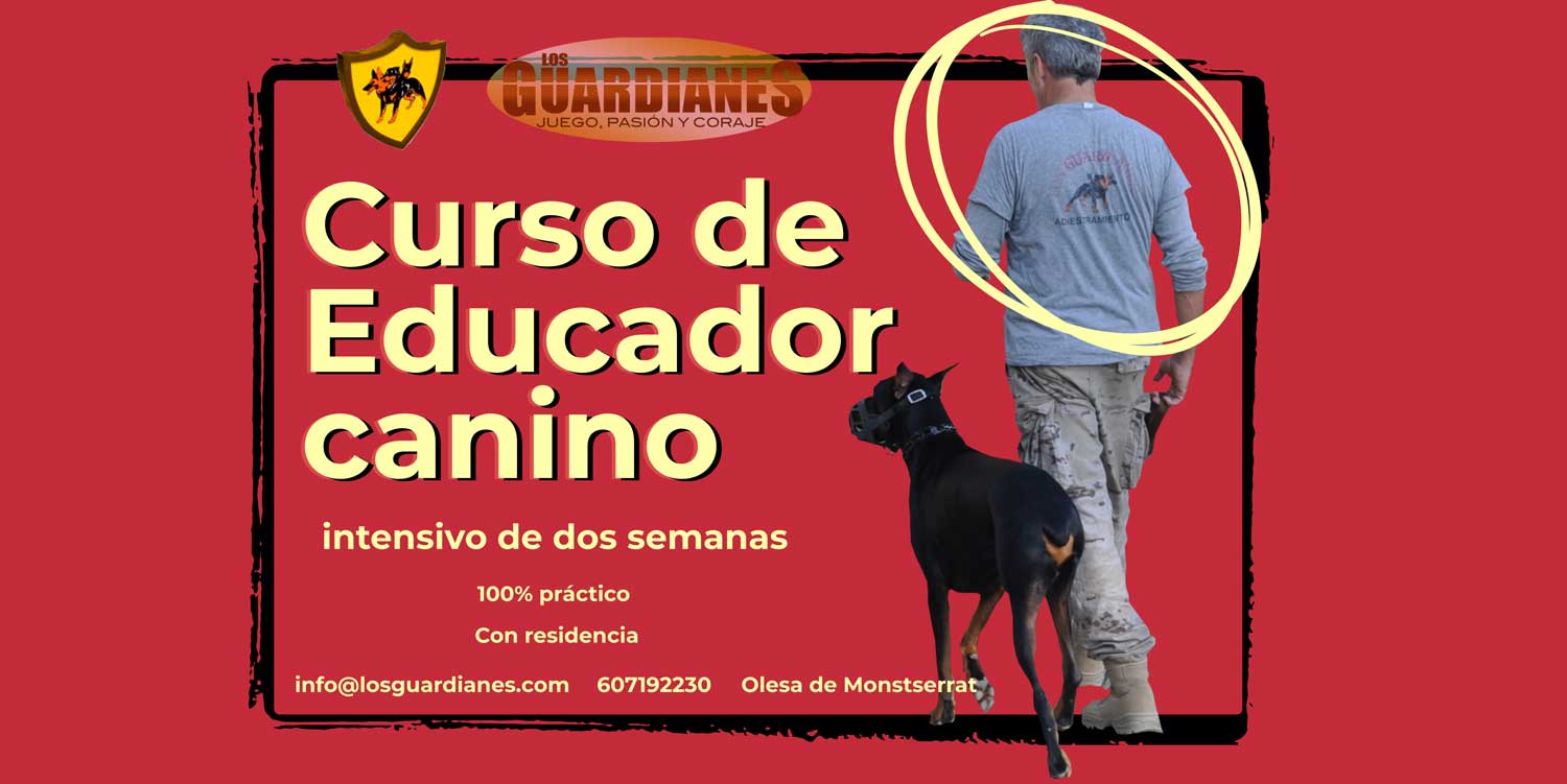 profesionales1