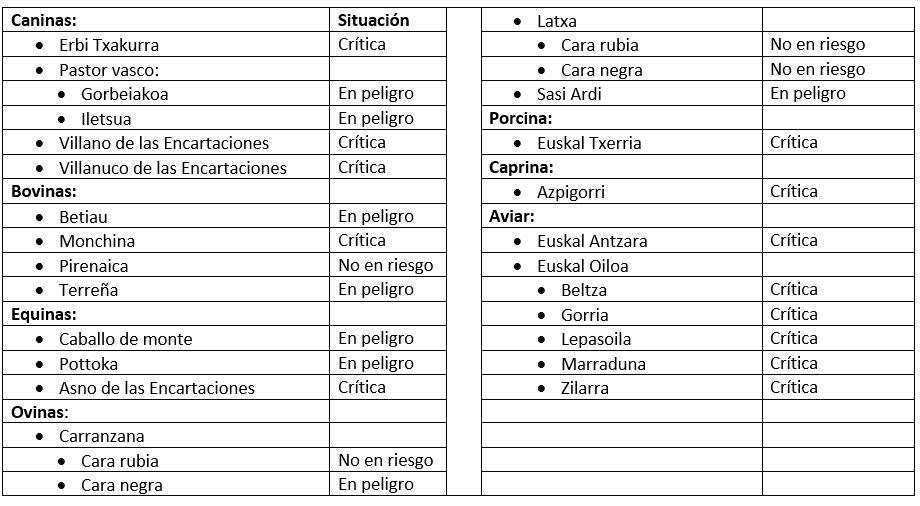 razas vascas