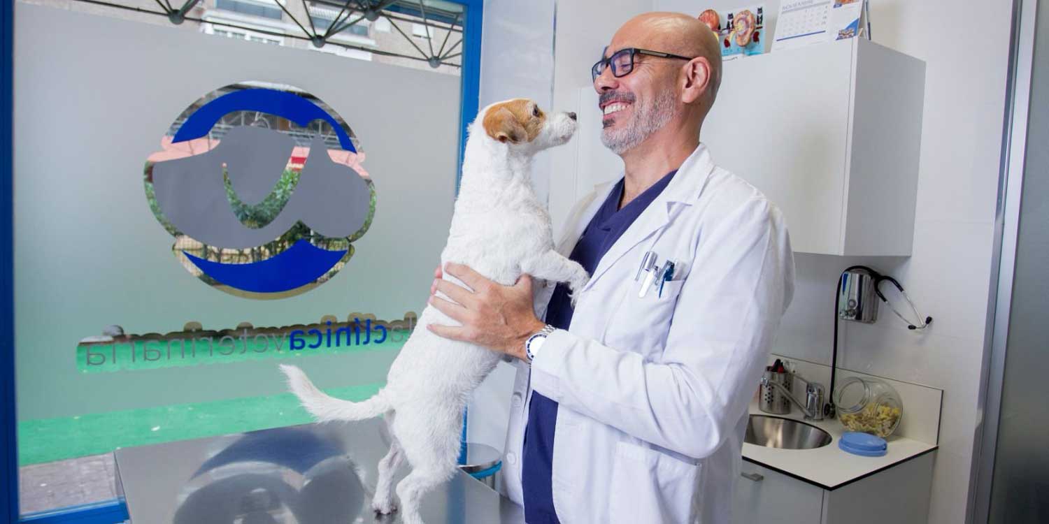 veterinarios1
