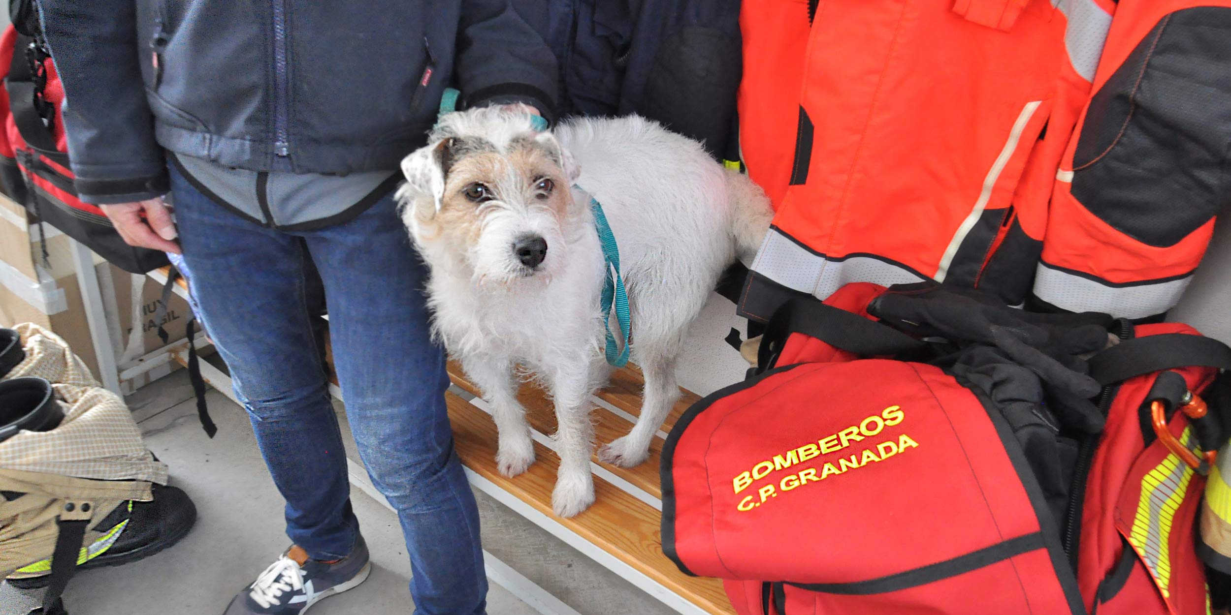 bomberos granada