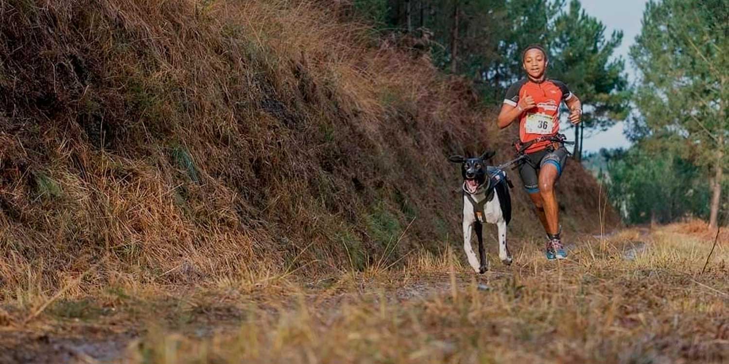 Canicross, aficionado o de competición Foto