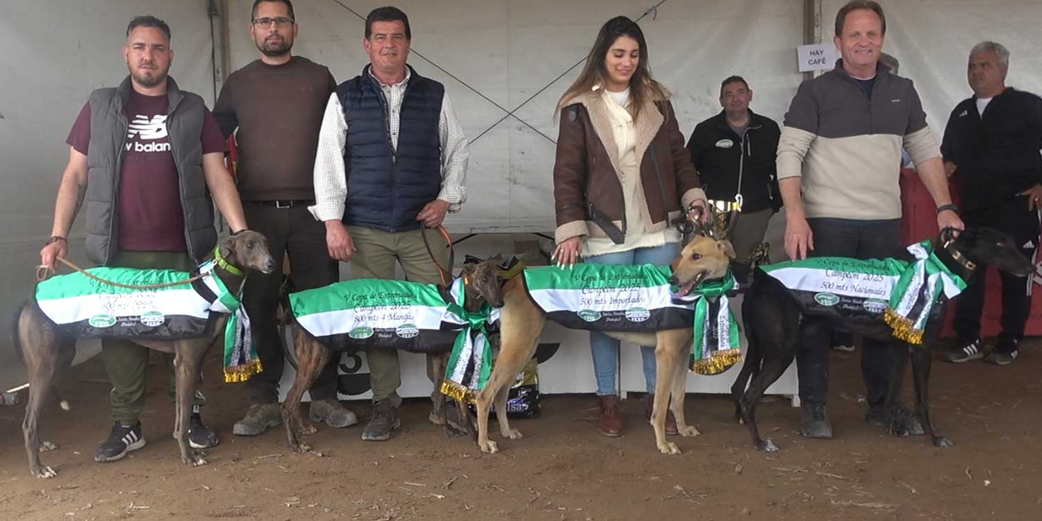 GALGOS EXTREMADURA