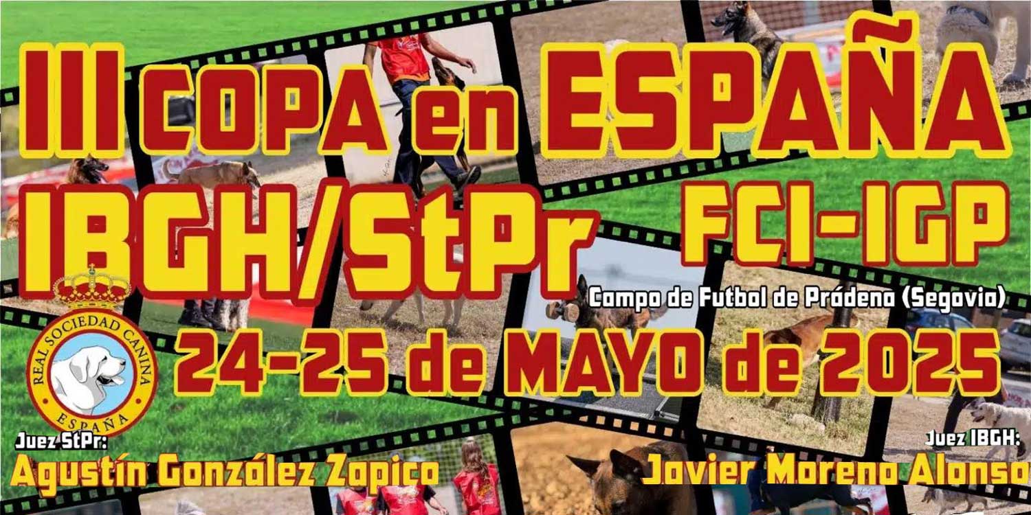 cartelesMayo