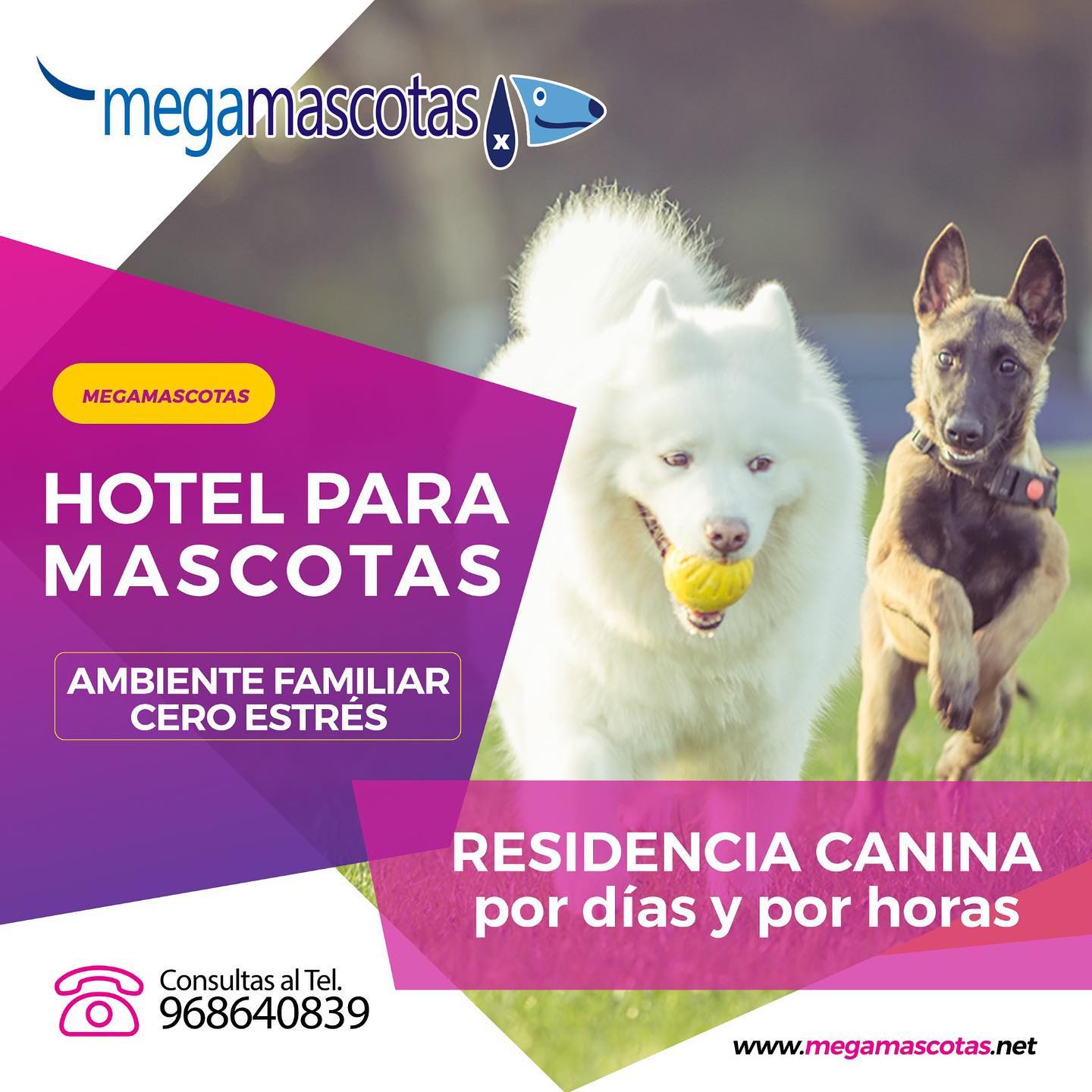 residenciacanina