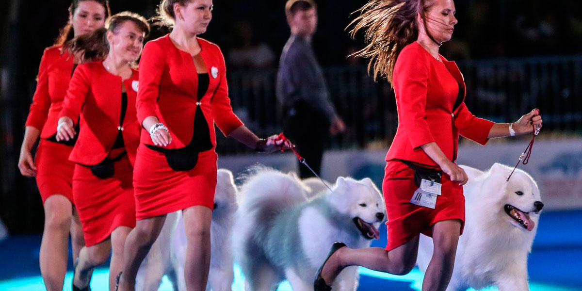 World dog show China