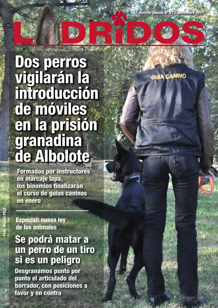 Portada57Noviembre2021