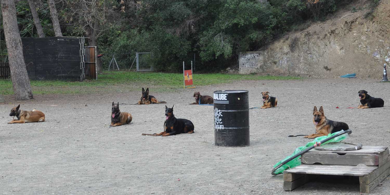 en contra