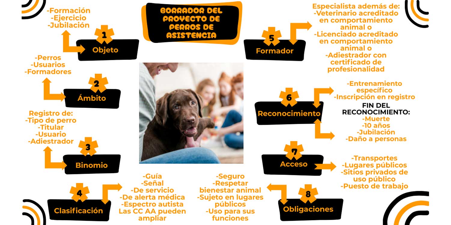 borrador decreto perros de asistencia