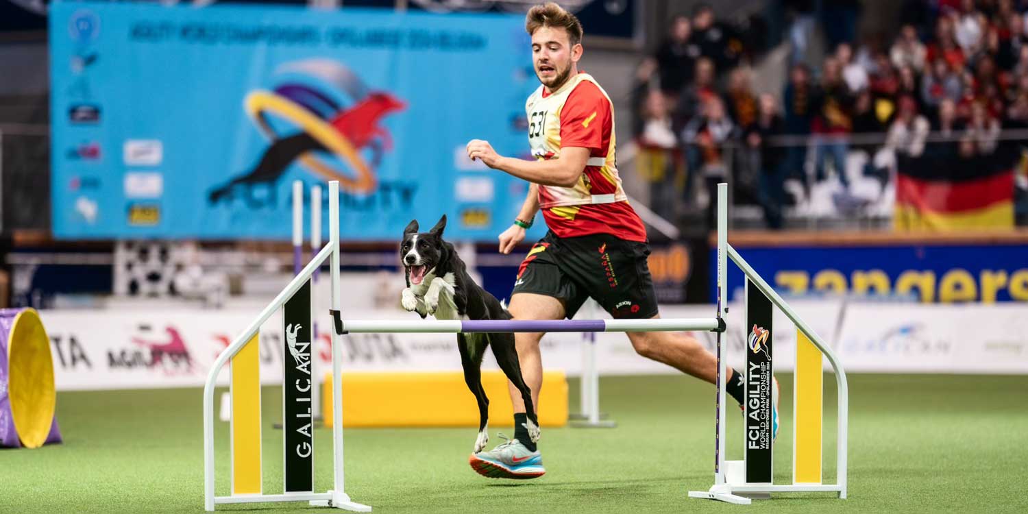 campeonagility