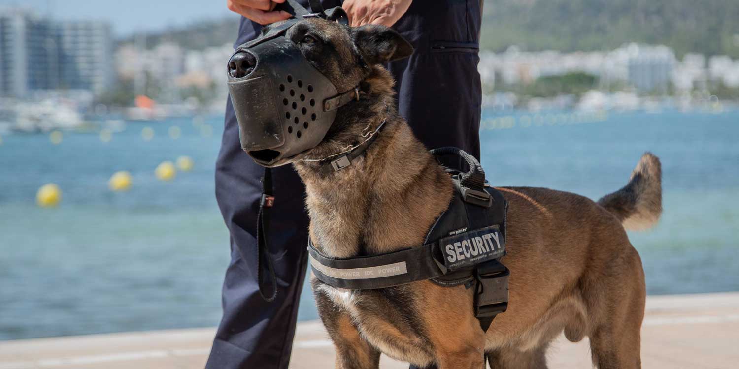 encoK9Ibiza