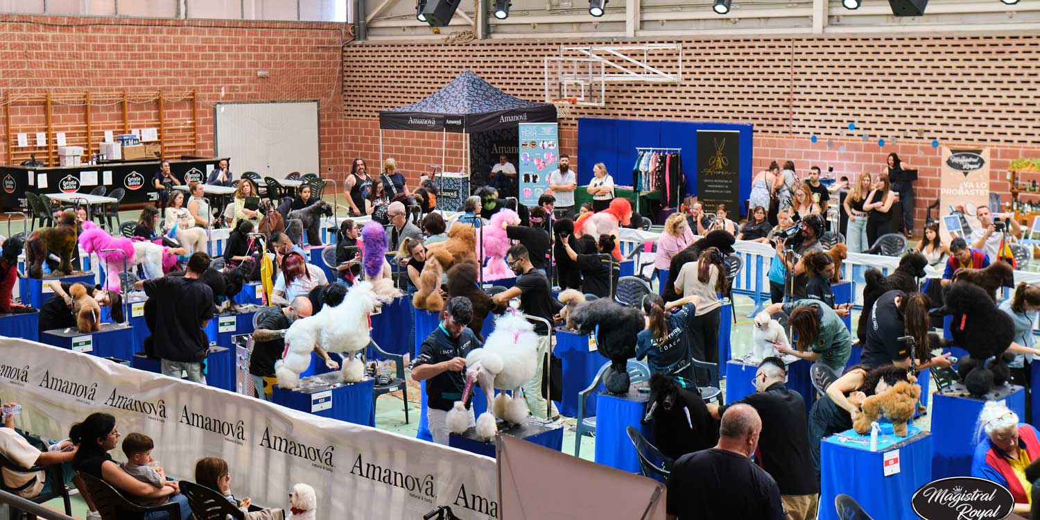 europeopeluquer