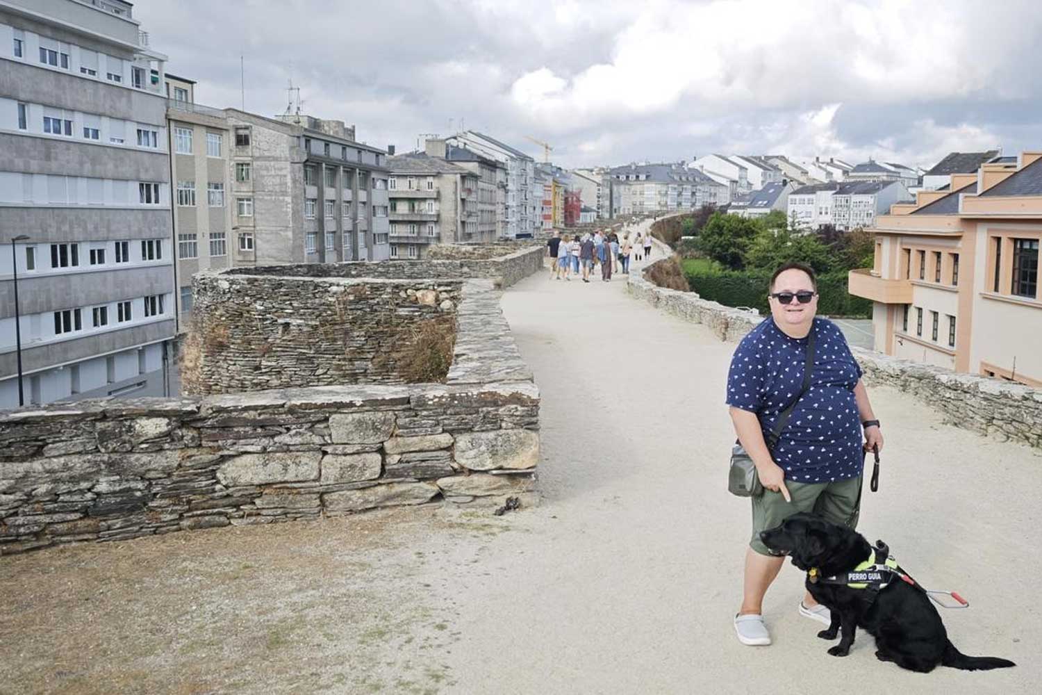 perro guia1