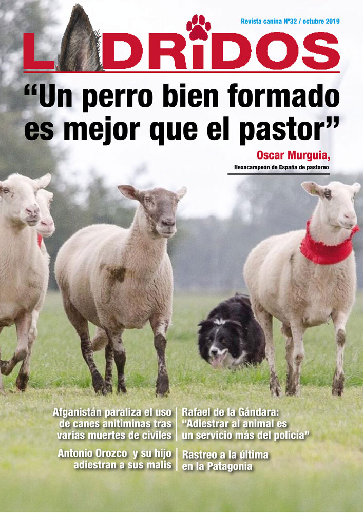 PortadaOctubre2019