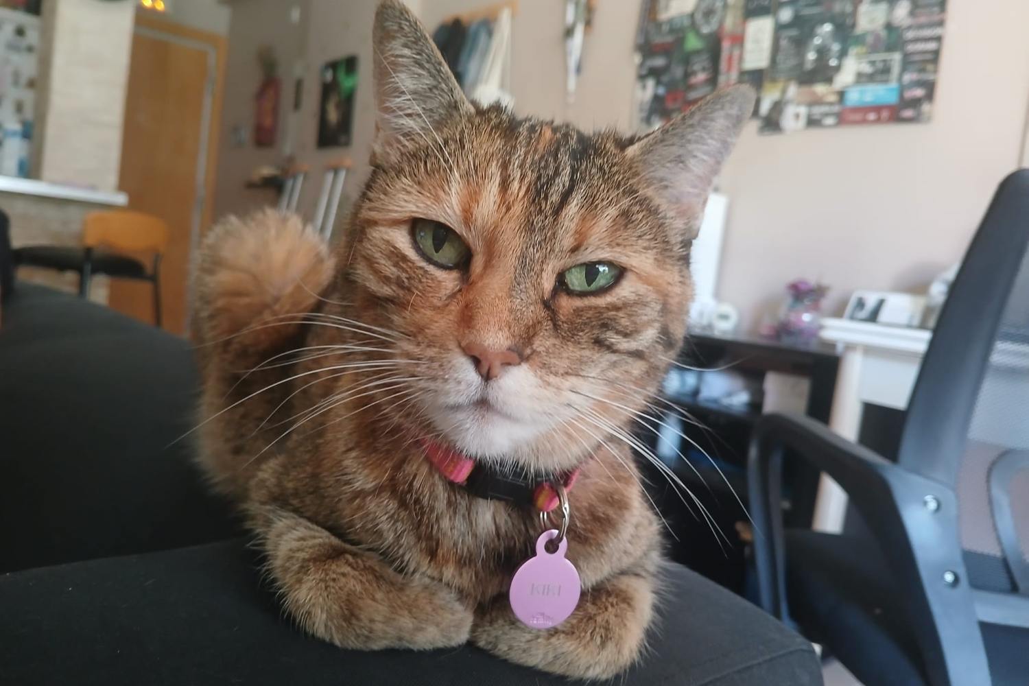 kiki1