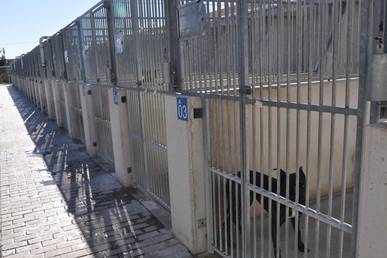 perrera1