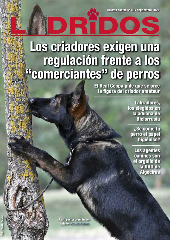 Portada43Septiembre2020