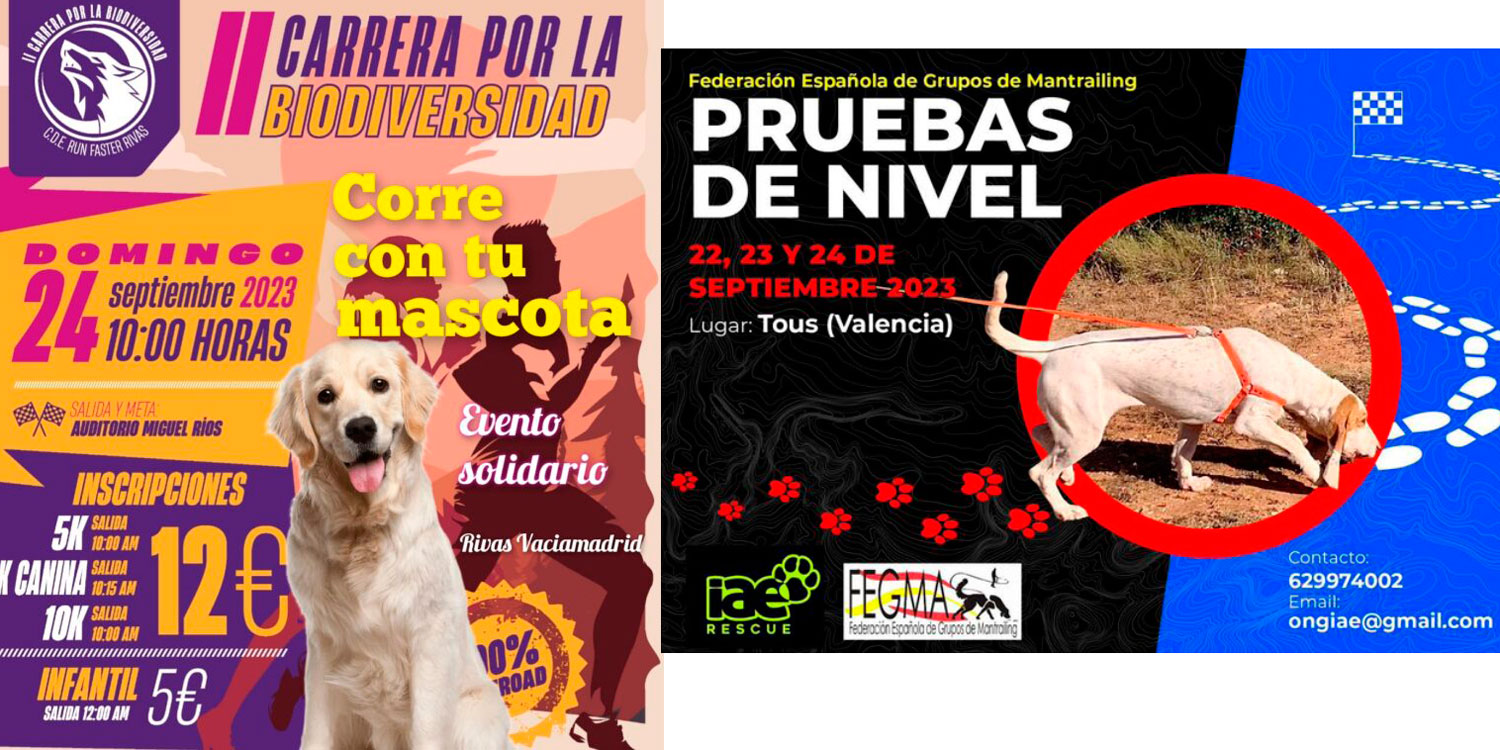 carteles