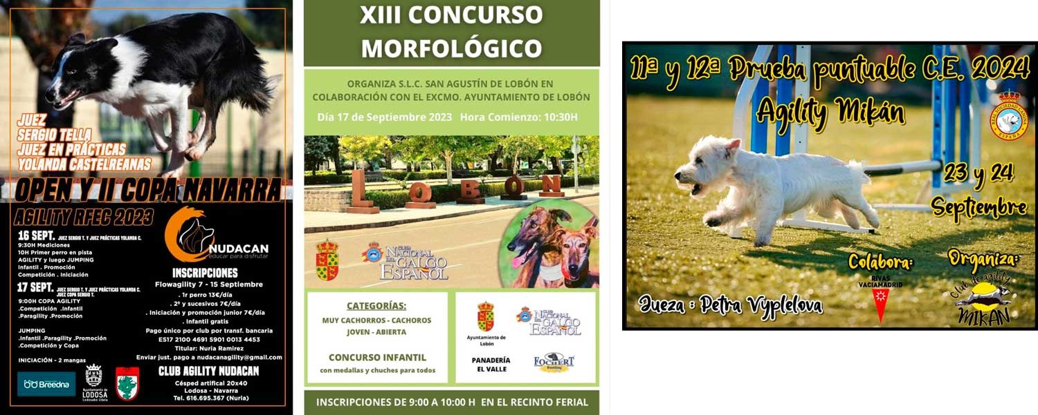 carteles3