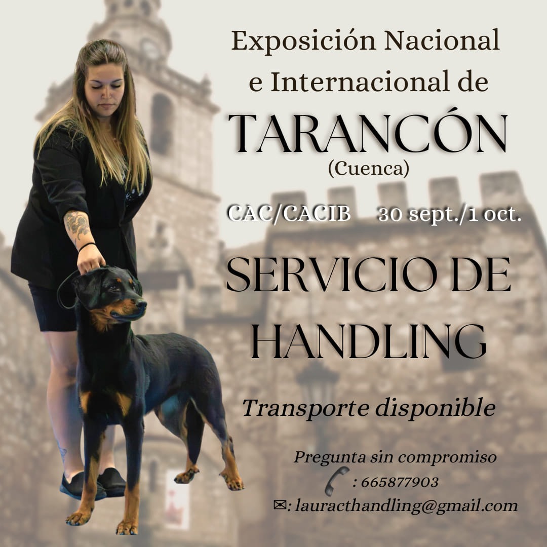 tarancón