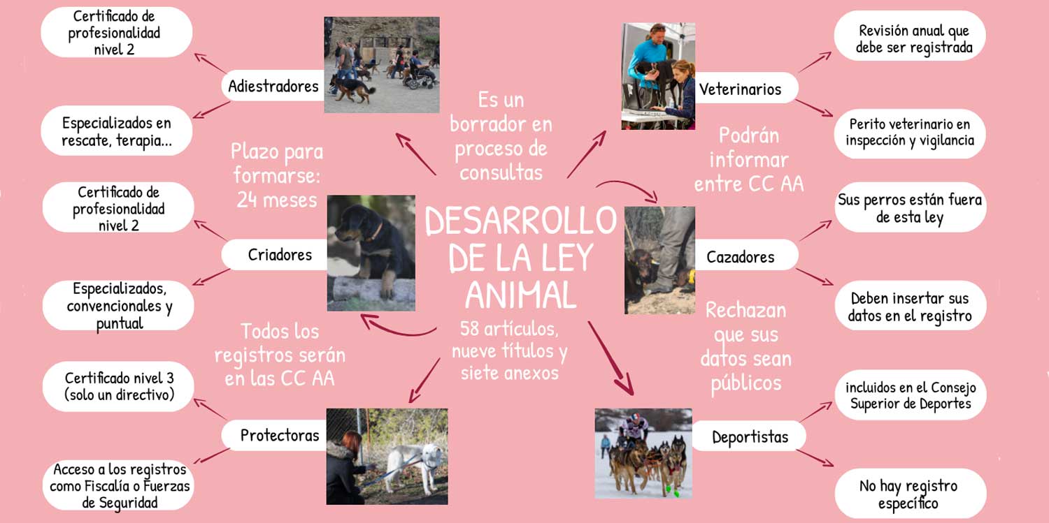 borrador desarrollo ley animal