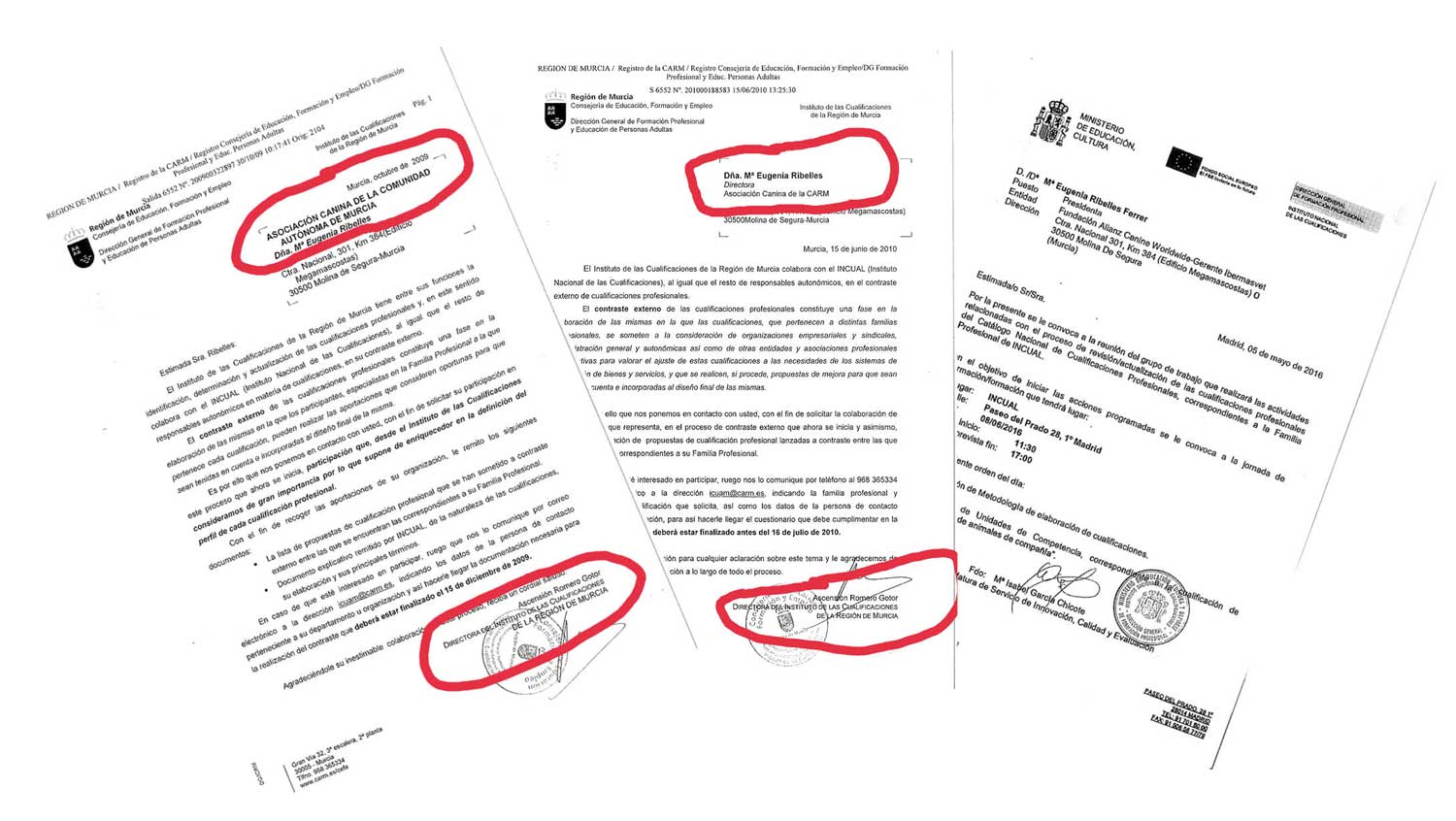 documentos septiembre alianz
