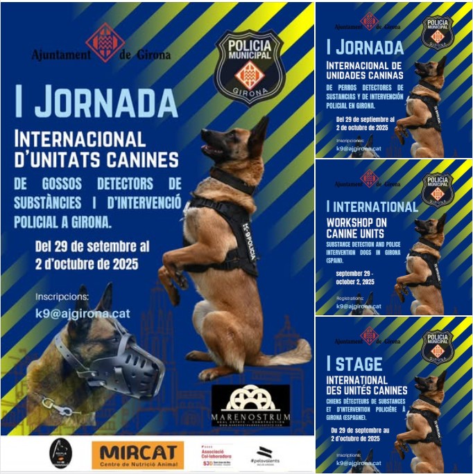 carteles idiomas