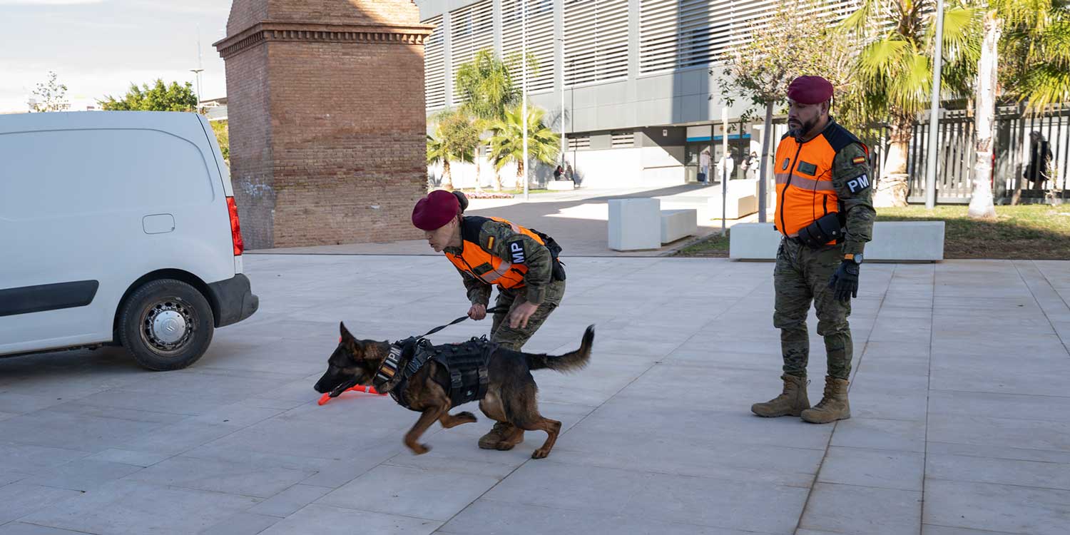 CEU Futurpaws Valencia