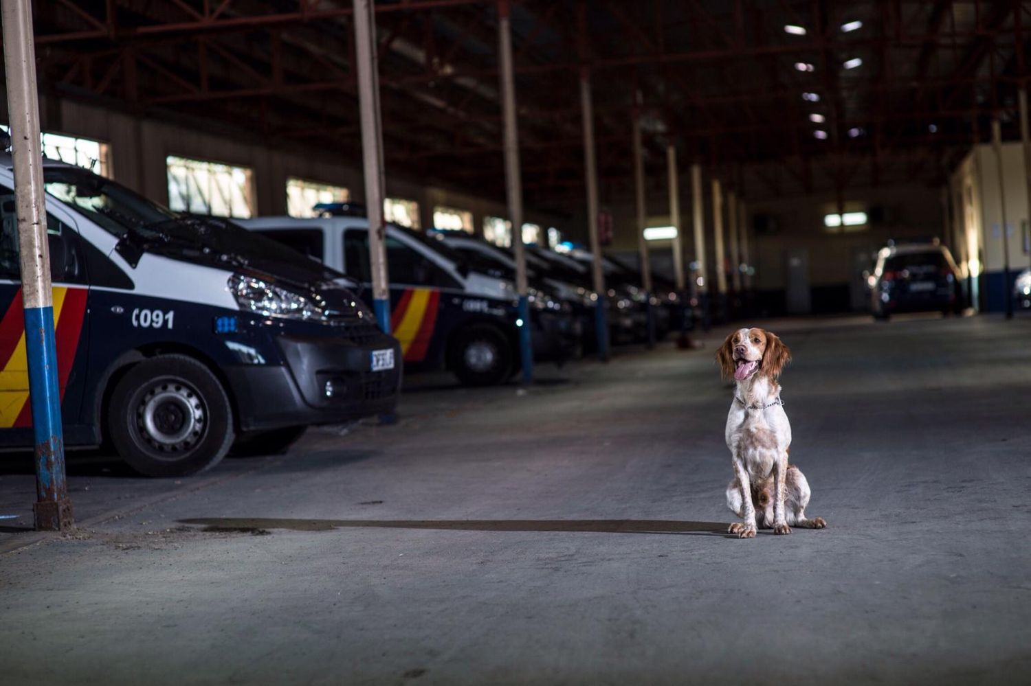 vacunaspolicia