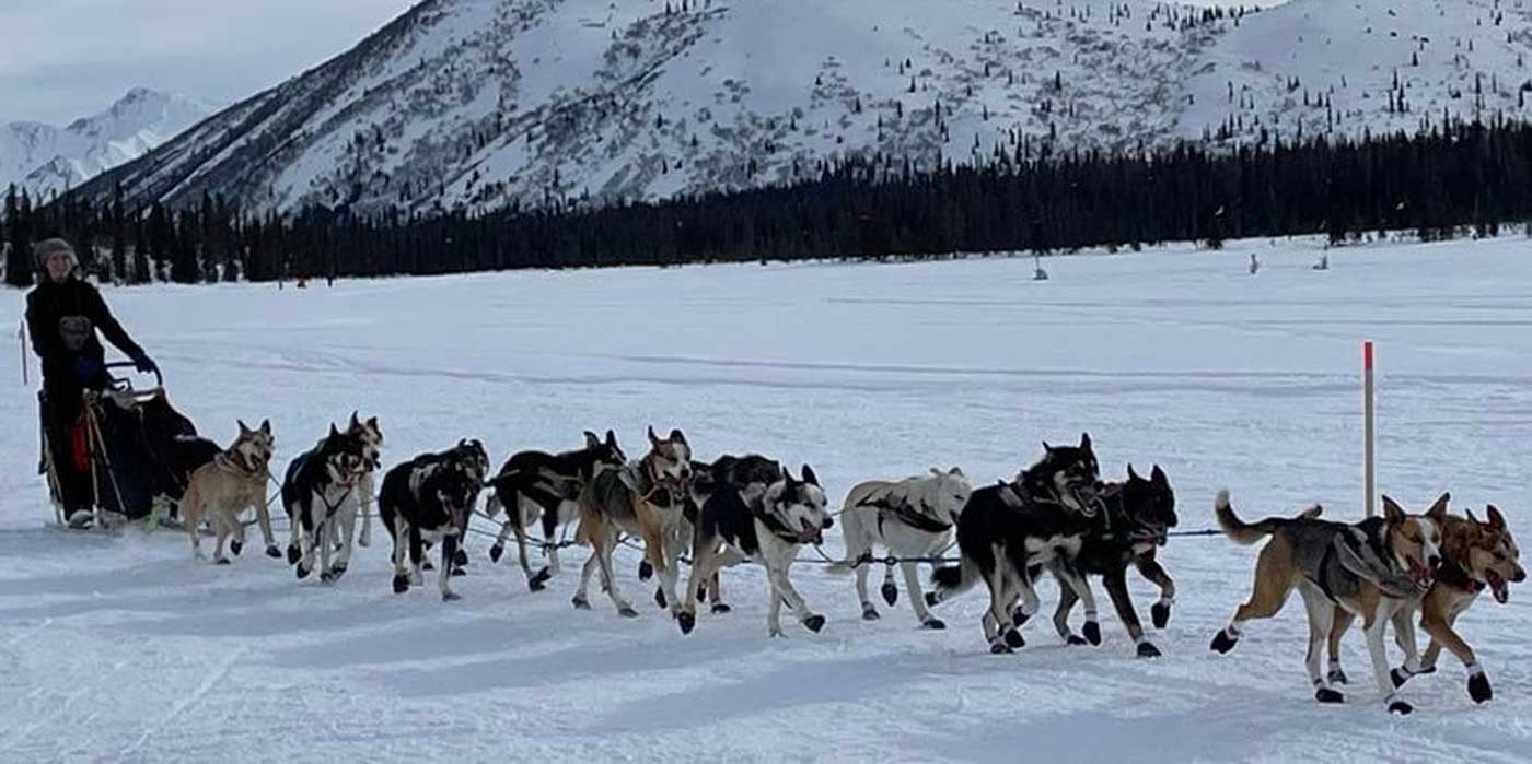 iditarod