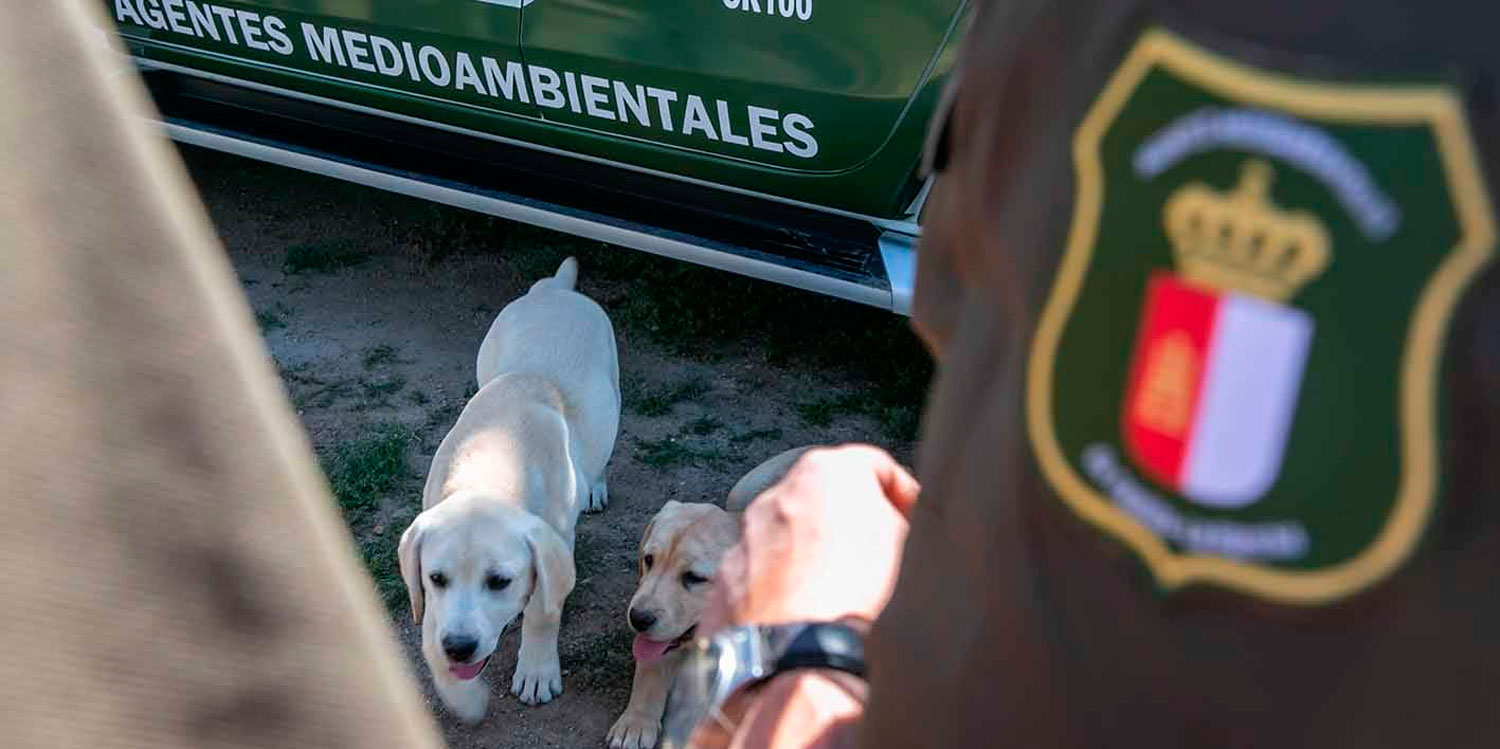 agentes mediambientales