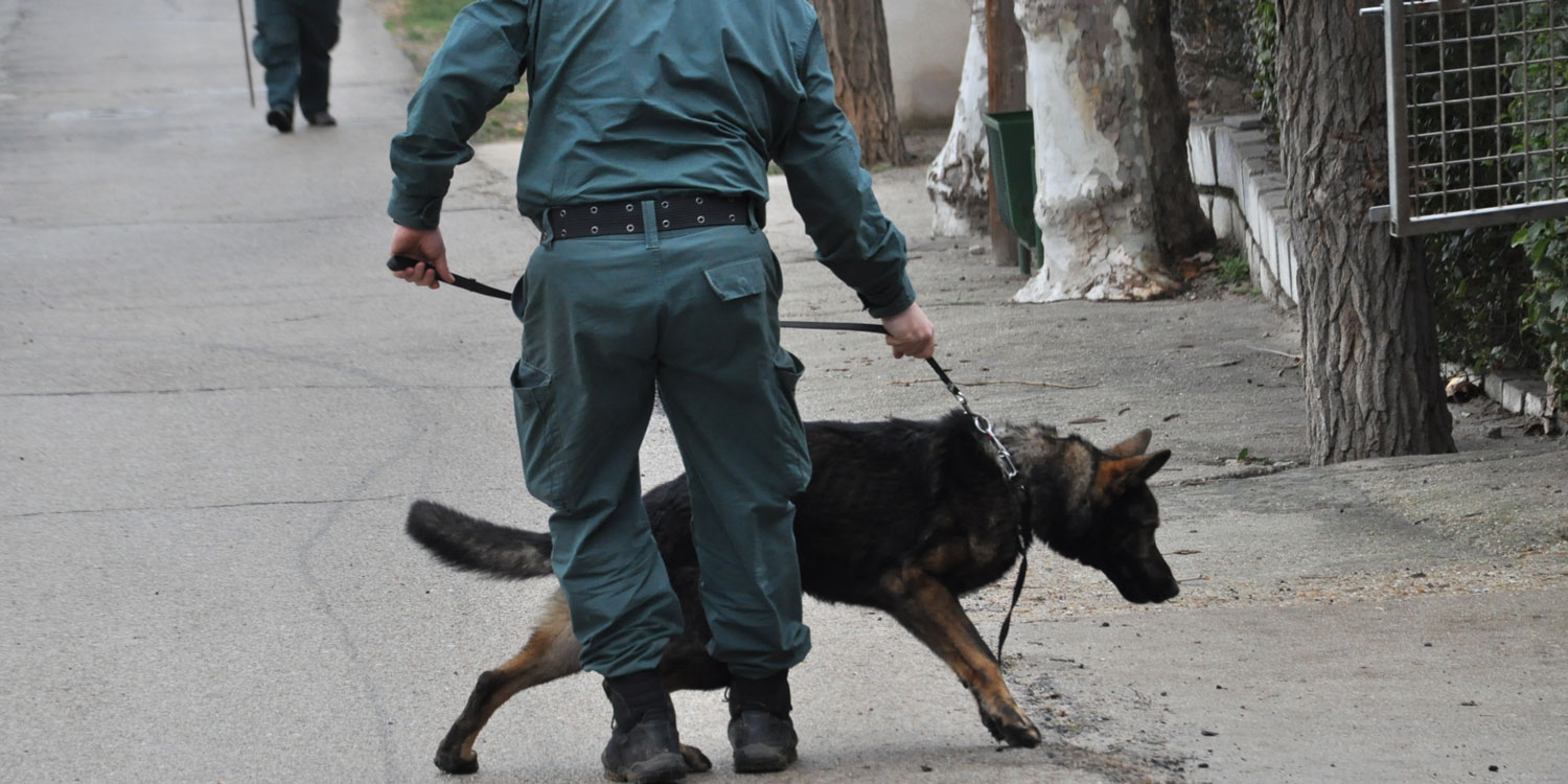 polemica perros caza