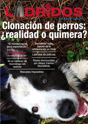 portada8